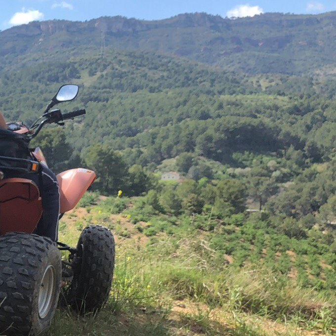 625856906 18399336763178571 5151213776857799472 n.jpg